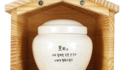냥이 무지개다리 건넌 후… 예쁜 애완묘 유골함 추천과 솔직 후기💖