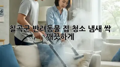 칠곡군 반려동물 집 청소: 냄새 싹~ 깨끗하게!