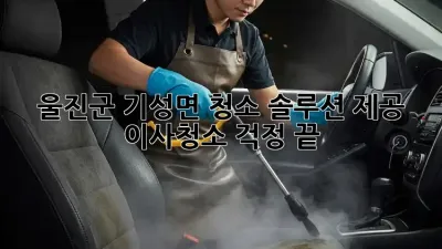 울진군 기성면 청소 솔루션 제공: 이사/청소 걱정 끝!